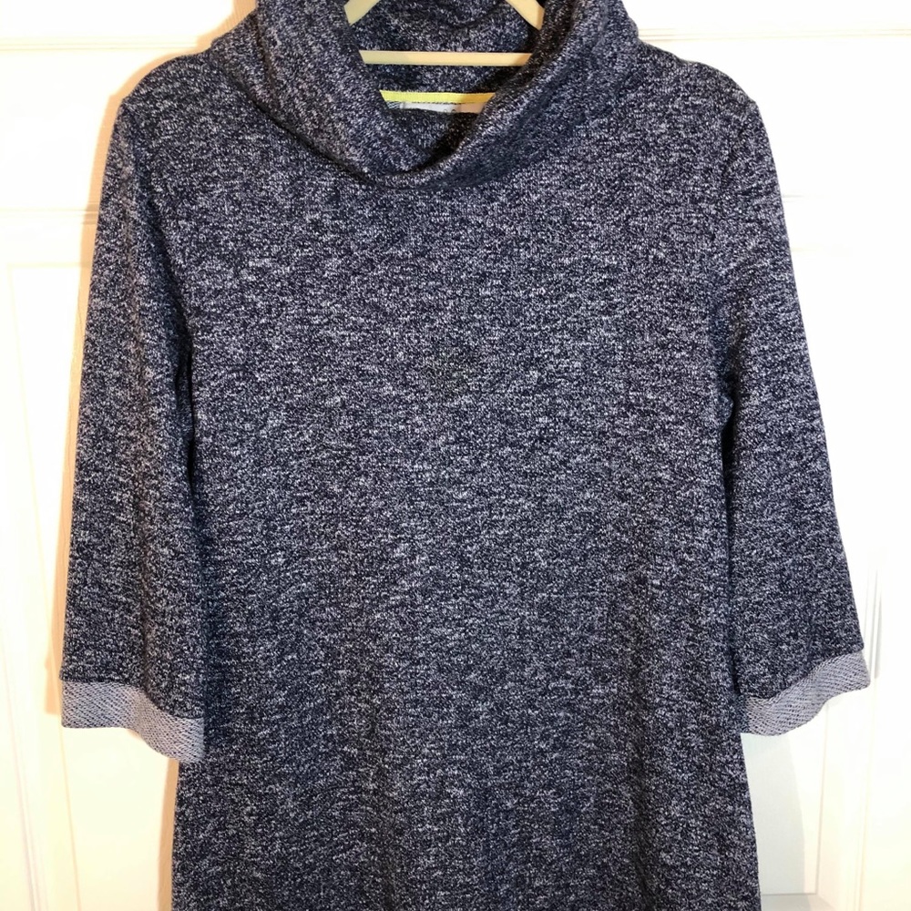 Summer and Sage Cowl Necked Tunic